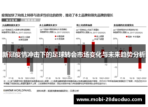 新冠疫情冲击下的足球转会市场变化与未来趋势分析