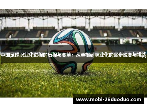 中国足球职业化进程的历程与变革：从草根到职业化的逐步蜕变与挑战