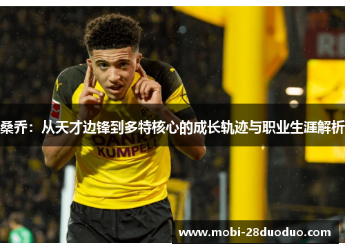 桑乔：从天才边锋到多特核心的成长轨迹与职业生涯解析