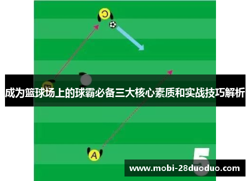 成为篮球场上的球霸必备三大核心素质和实战技巧解析