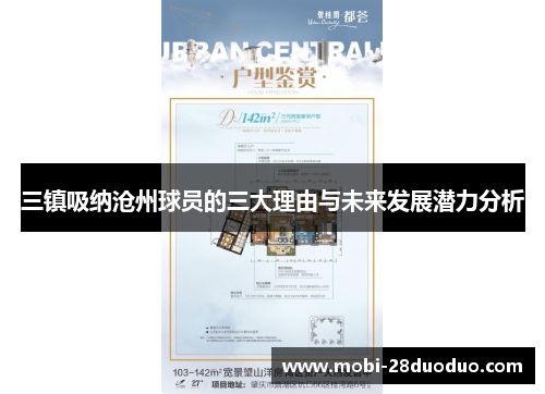 三镇吸纳沧州球员的三大理由与未来发展潜力分析