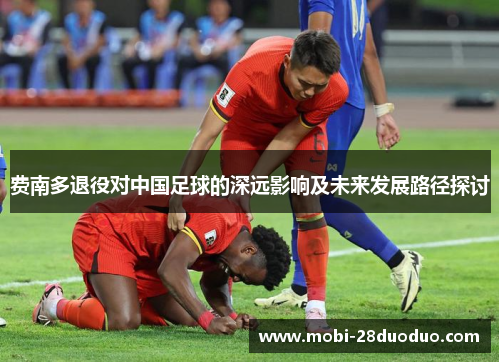 费南多退役对中国足球的深远影响及未来发展路径探讨