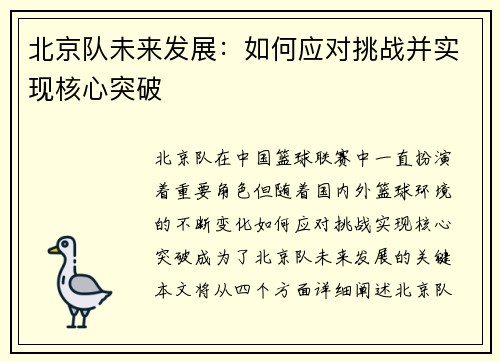 北京队未来发展：如何应对挑战并实现核心突破