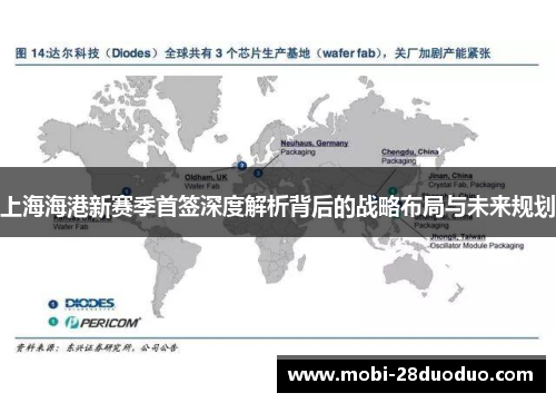 上海海港新赛季首签深度解析背后的战略布局与未来规划