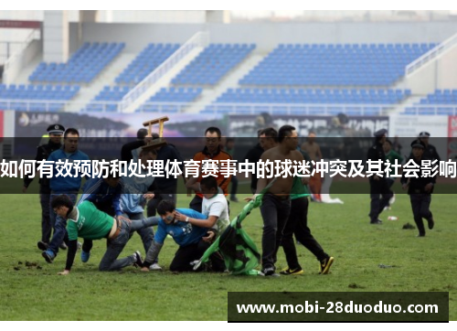 如何有效预防和处理体育赛事中的球迷冲突及其社会影响