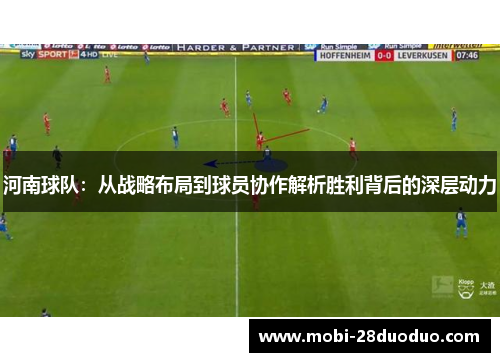 河南球队：从战略布局到球员协作解析胜利背后的深层动力