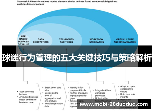 球迷行为管理的五大关键技巧与策略解析