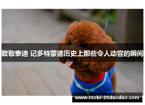 致敬泰迪 记多特蒙德历史上那些令人动容的瞬间