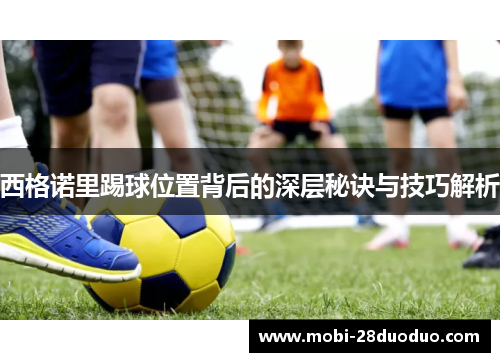 西格诺里踢球位置背后的深层秘诀与技巧解析